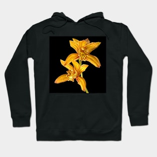 Orchids Cymbidium Chen's Ruby Gold Tiger Hoodie